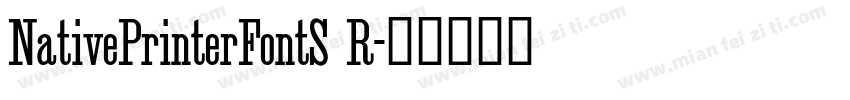 NativePrinterFontS R字体转换